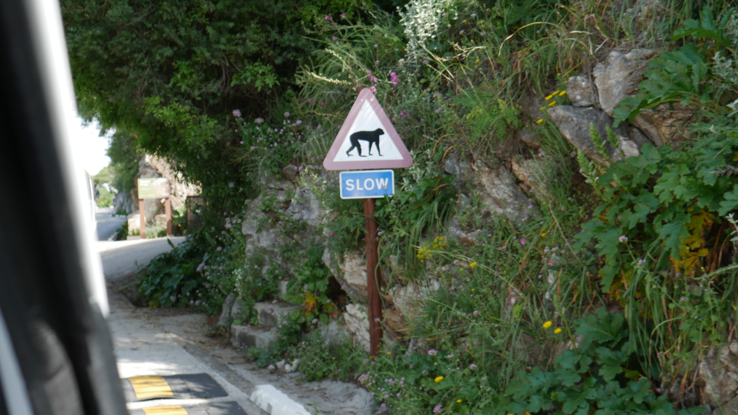 From the Sea of Plastic to the Pillars of Hercules: Our Week in Southern Spain