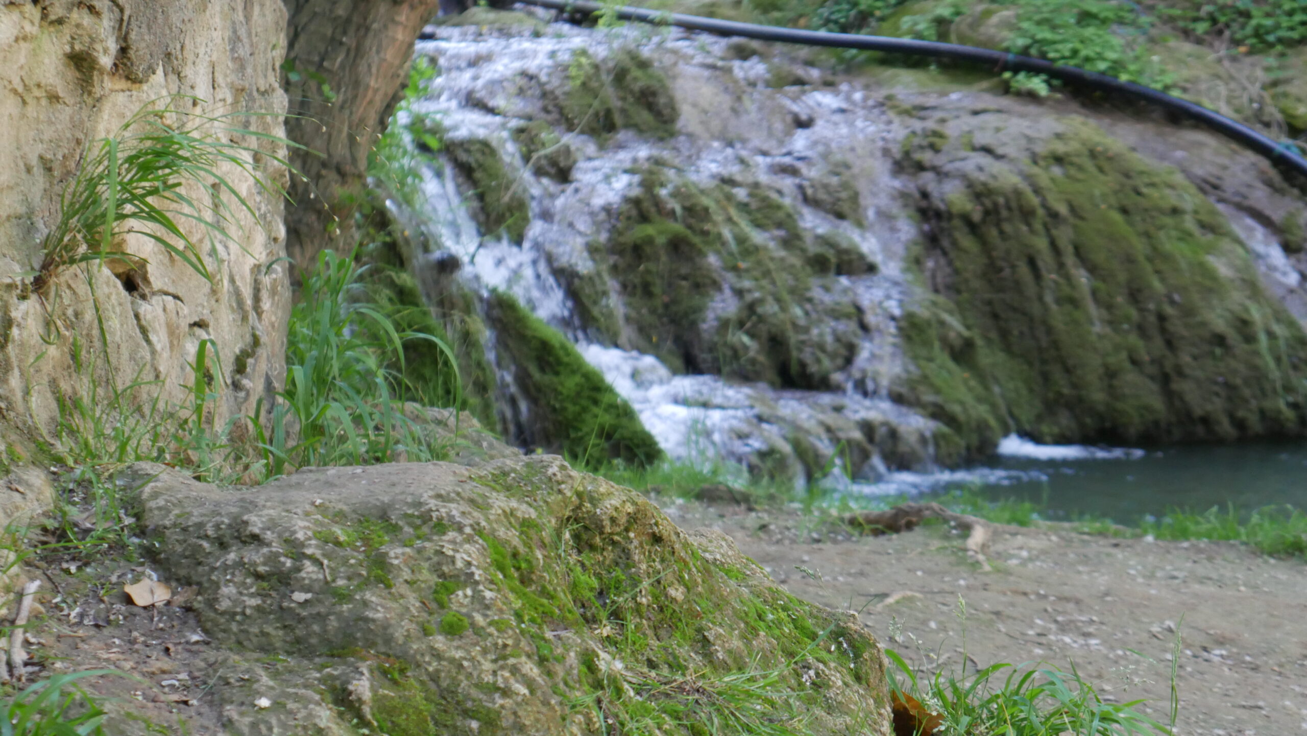 From the N2 to the Camino: Escaping Portugal and Sweating Through Northern Spain